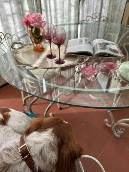 Appartement ☆Lovely View Of Florence In Stilish Designed Apt☆ à Fiesole Extérieur photo